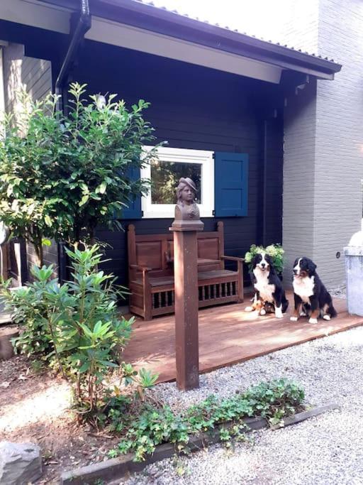 Comfortable Chalet In A Unique Location In Forest 에선 외부 사진