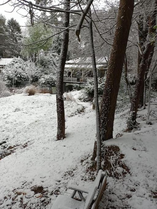 Comfortable Chalet In A Unique Location In Forest 에선 외부 사진