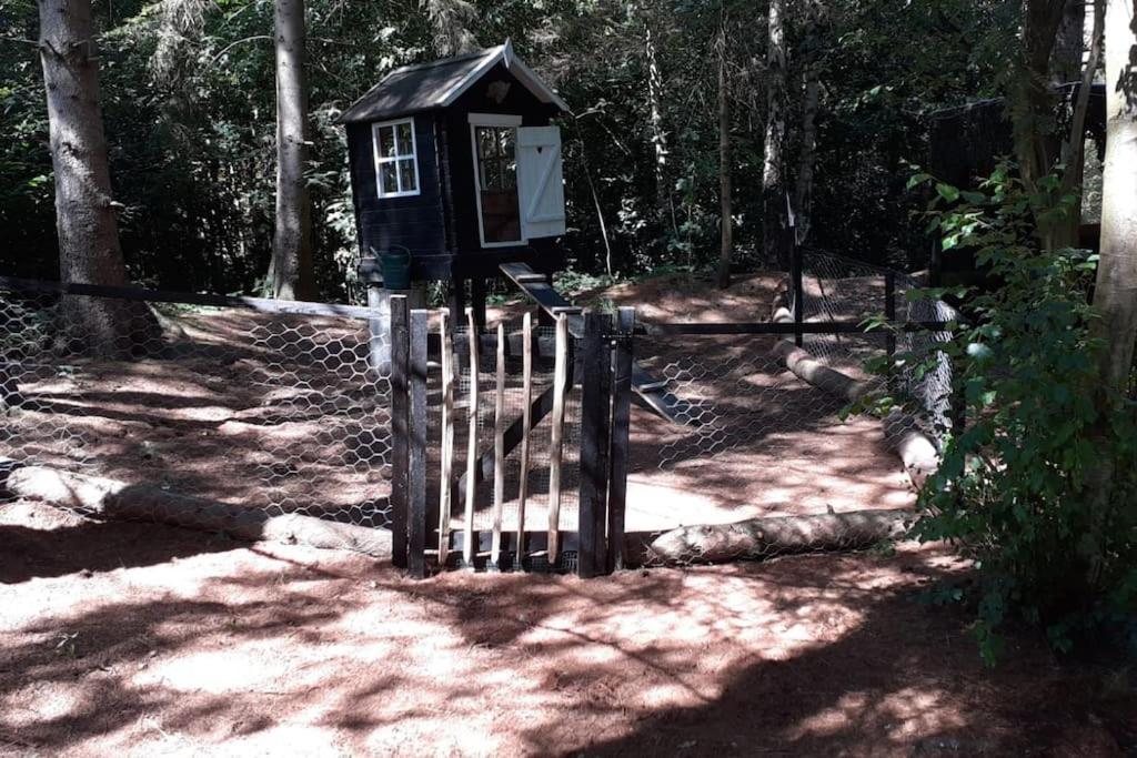 Comfortable Chalet In A Unique Location In Forest 에선 외부 사진